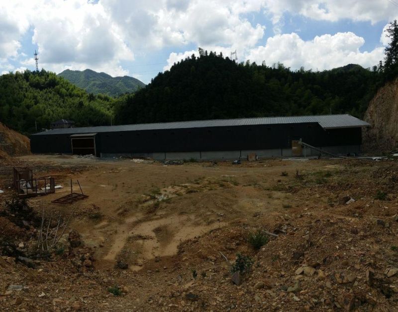 Double Henhouse for Layers