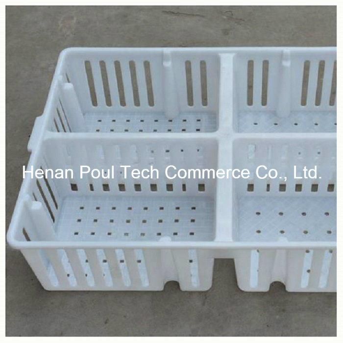 Plastic Chicken Transportation Cage for Chicken