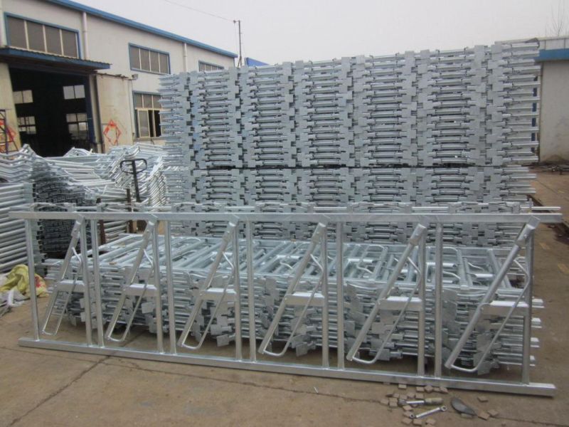 Hot Dipped Galvanized Cow Headlock