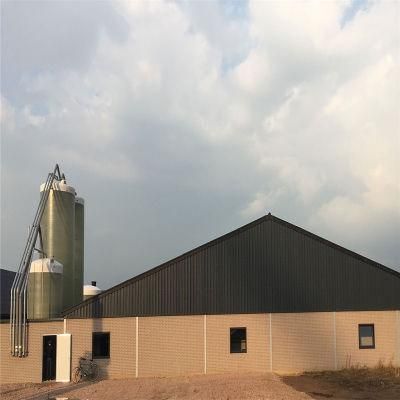 Quickly Installed Easily Feeding Small Labor Steel Meat Chicken House