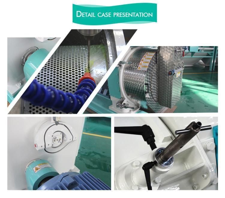 Animal Feed Pellet Making Machine Shrimp Fish Feed Pelleting Machinery