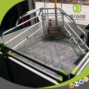 Pig Farm Equipment Animal Welfare Open Crate For Sow