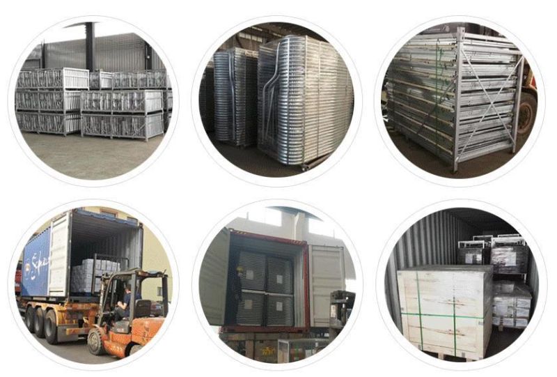 Made in China Livestock Poultry Farm Piggery Equipment Pig Farming Cages Galvanized Frame PVC Fence Panel Sow Farrowing Pen Crate with Plastic Slatted Floor