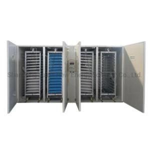 Wholesale Automatic Hatch Machine and Chicken Eggs Incubator with More Than 6, 336 Eggs