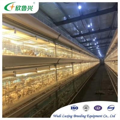 Modern Cleaning System Automatic Manure Removal Machine Broiler Chicken Cage with Poultry Equipment