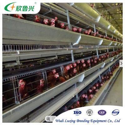 Hot DIP Galvanized Material Poultry Layer Chicken Cage House for Layer Chicken