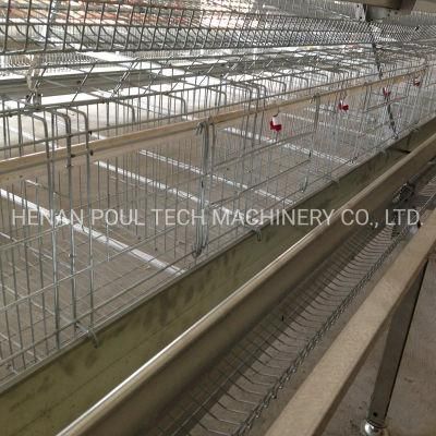 H Type Layer Cage Raising Equipment for 60000 Birds Layer Project