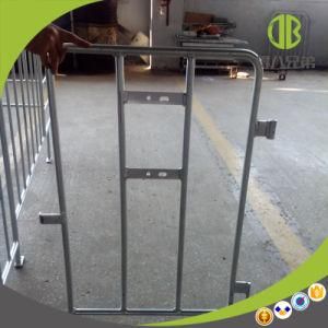 Customized Gestation Stall Good Price and Good Quality