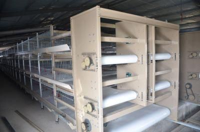 Taiyu Poultry Farming Chicken Bird Cage Equipment for Sale
