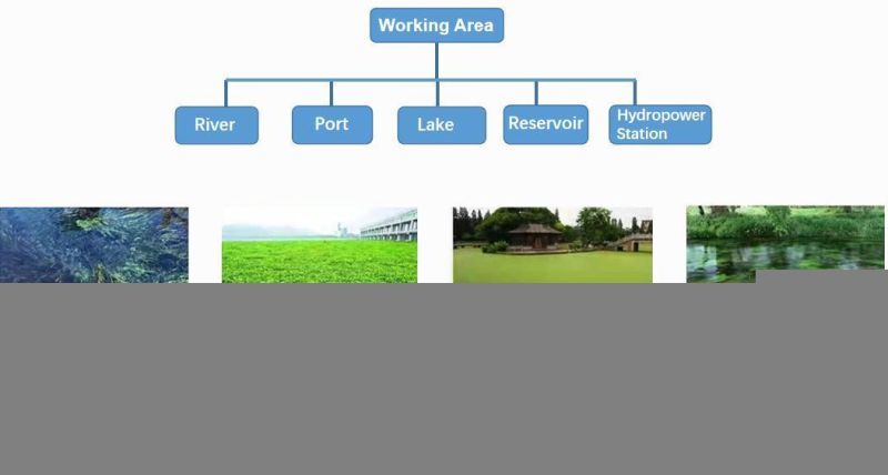 Amphibious Aquatic Vegetation Harvester with Competitive Price for Europe Market