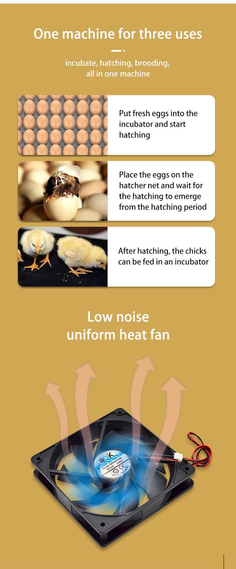 Solar Power Egg Incubator for Sale DC12V Egg Hatching Machine