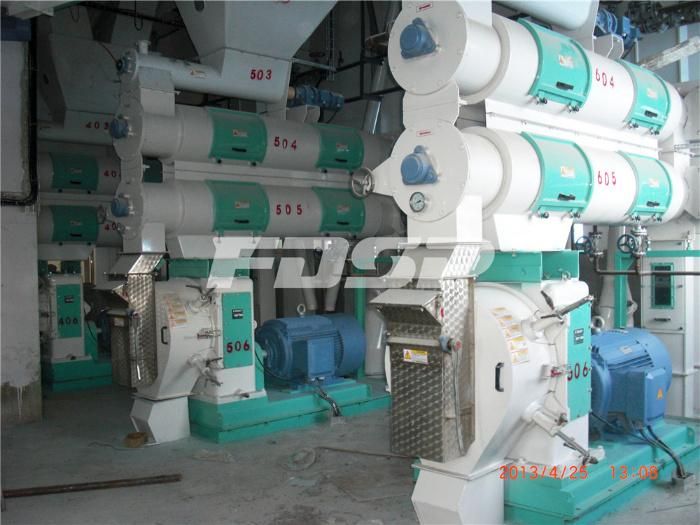 CE Approved Ring Die Animal Food Processing Machinery Line