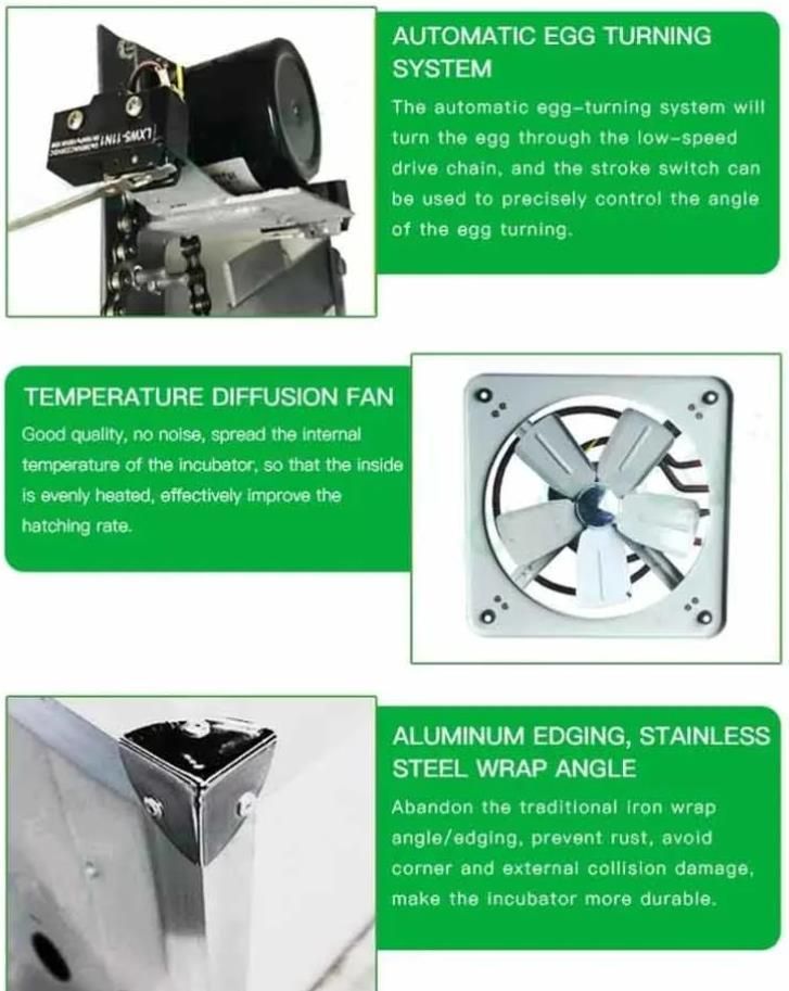 High Quality Chicken Husbandry Electric Bird Egg Incubator for Sale