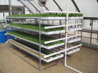 Agriculture Hydroponic Nft Food-Grade Microgreen Fodder Tray