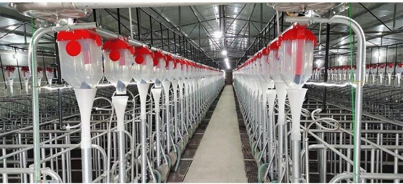 Livestock Poultry Farm Equipment Automatic Feeding System with Steel Silos