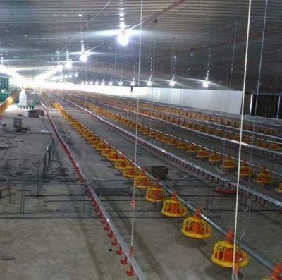 Hot Sale Plastic Material Chicken Floor for Broiler Poultry Farming Used Poultry Equipment