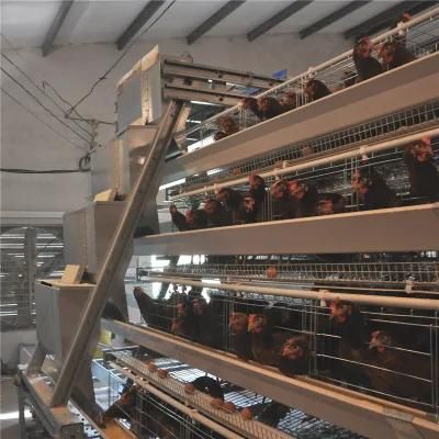 a-Type Layer Chicken Cage with Automatic Machine System