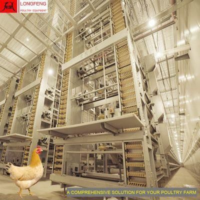 China Local After-Sale Service in Asia Egg Chicken Cage Poultry Farm Layer Cages