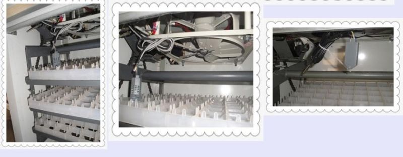 Hot-Selling Full Automatic 5280 Poultry Egg Incubator for Sale