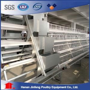 Hot Sale a Type Automatic Chicken Cage System From Jinfeng