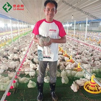 China Factory Broiler Chicken House Farming Equipment for Sale