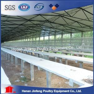 Hot Galvanized High Quality 3&4 Tier Layer Chicken Cage