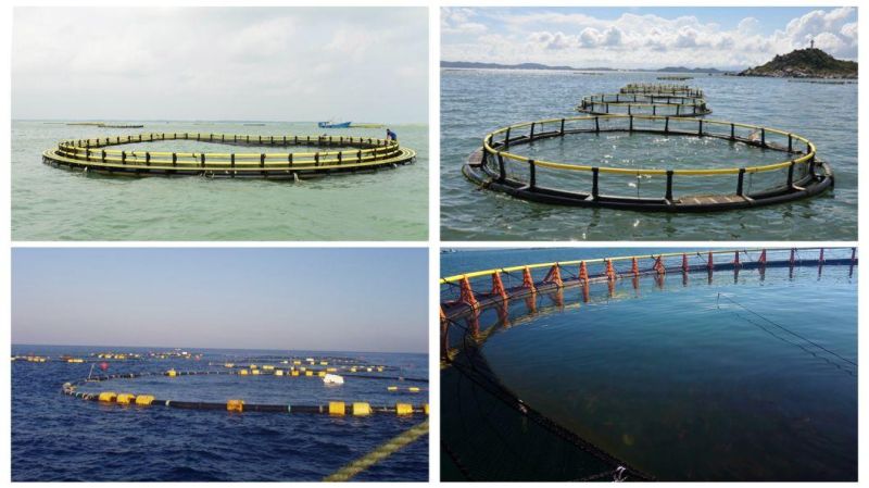 2021 Hottest Fishing Equipment Fish Farm Floating Round Fish Cage Open Sea Cage Fishcage Floating Cage Fishing Cage Fish Farming Equipment Fish Farming Cage