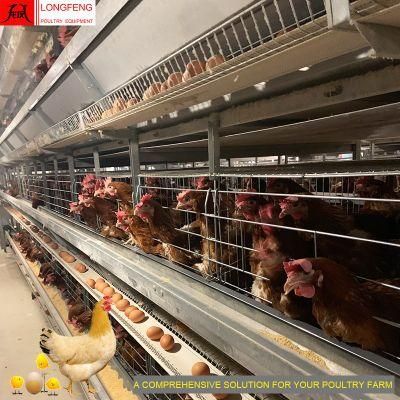 275g Hot Galvanized Wire Mesh and Sheet Farms Poultry Farm Chicken Cage