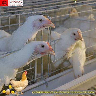Poultry Farming Equipment a Type Farm Cages Chicken Battery Layer Cage Factory 9Ltd390/3120/4120/4160